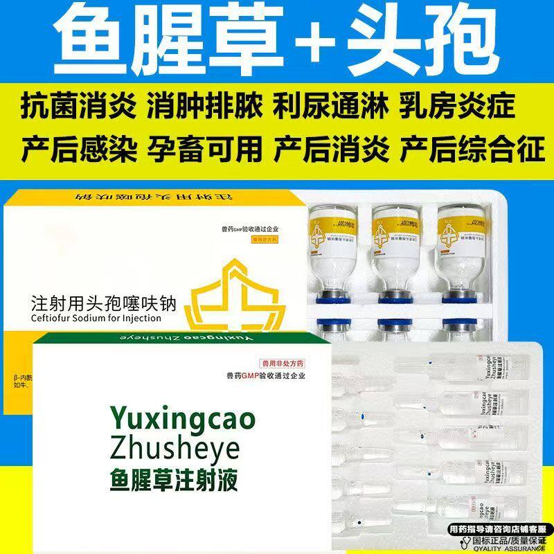 兽用头孢噻呋钠注射液产前后康猪牛羊鱼腥草犬猫产后消炎感染兽药