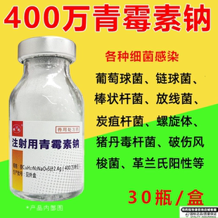 鹏迪青霉素兽用 青霉素钠注射用兽药正品猪牛羊犬猫鸡鸭鹅禽400万