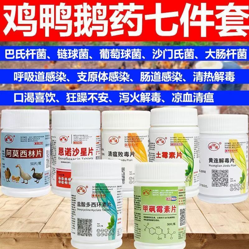 鸡药鸡鸭鹅鸽鸡病全治养鸡专用药
