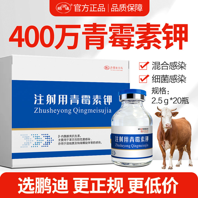 鹏迪青霉素兽用400万注射用青霉素钾粉猪牛羊鸡鸭鹅禽类猫狗兽药