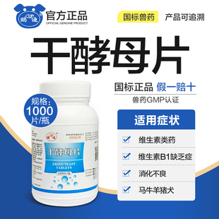 兽用干酵母片补充维生素B1兽药猪牛羊马犬消化不良鸡鸭 1000片/瓶