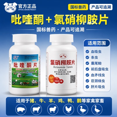 吡喹酮片氯硝柳胺片兽用吸虫线虫