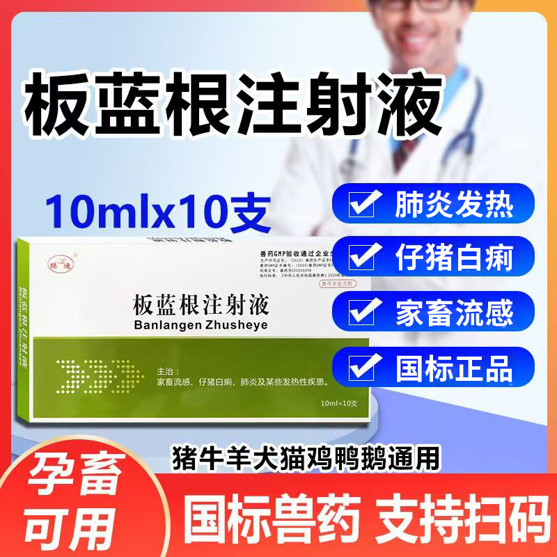 鹏迪板蓝根注射液猪牛羊流感针剂
