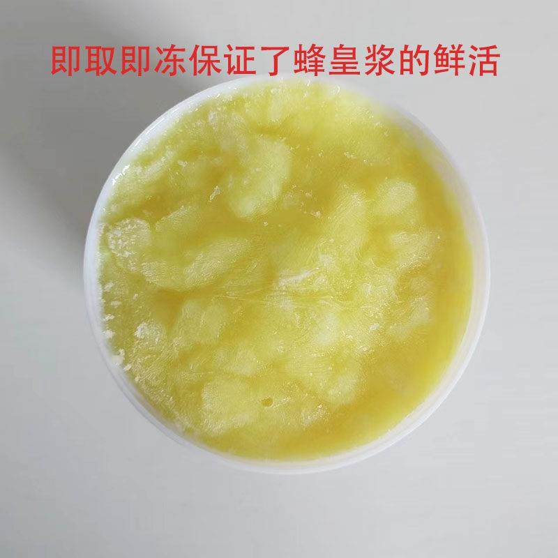 野王生蜂浆王浆春纯正2天然农家自产蜂皇浆蜂乳YIJ新鲜峰浆50克