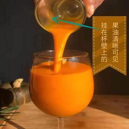 产新疆特沙棘原浆鲜生榨PAQ无添果加产直地发富含维c