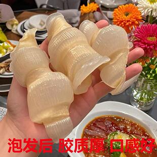 鱼胶凤尾胶奶红鱼胶花胶煲汤干奶冻炖腥味零滋补品货当天YZE发货