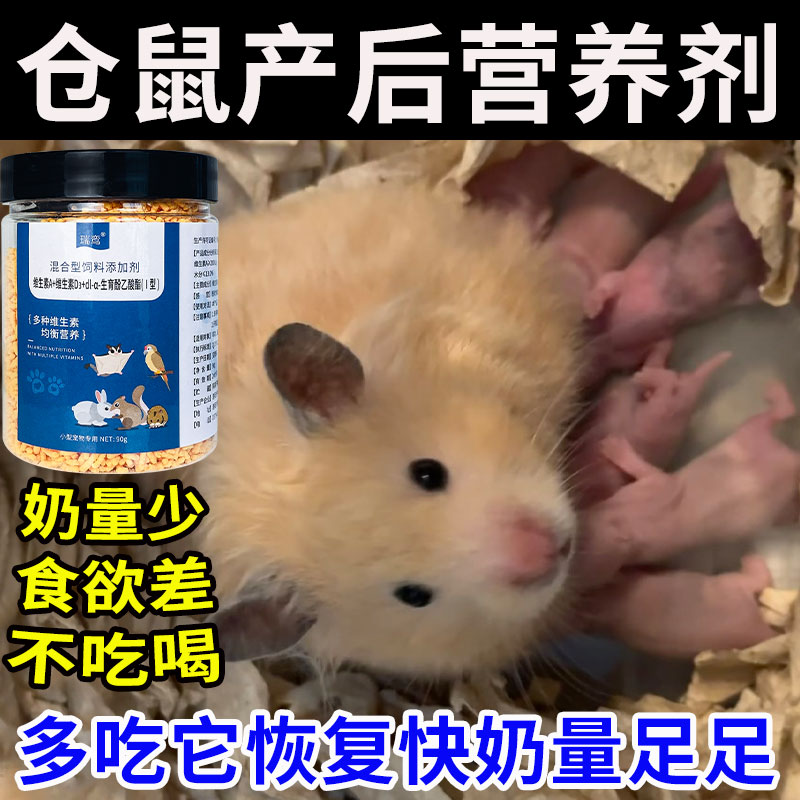 金丝熊仓鼠生宝宝营养品幼崽粮食物妈妈月子餐怀孕哺乳期饲料催奶