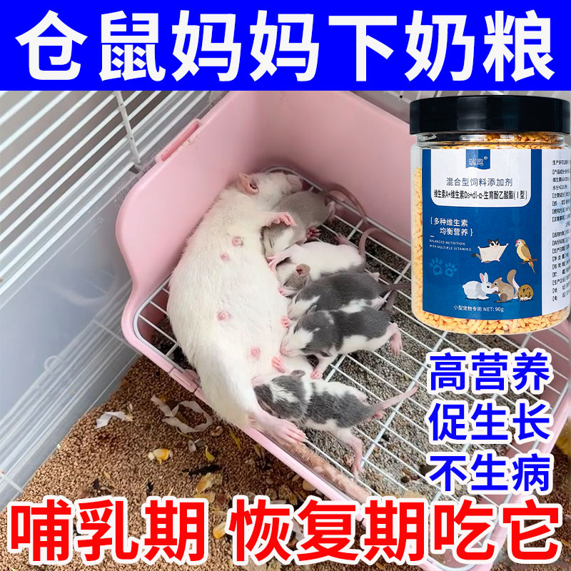 仓鼠妈妈月子餐怀孕哺乳期饲料催奶金丝熊生宝宝营养品幼崽粮食物