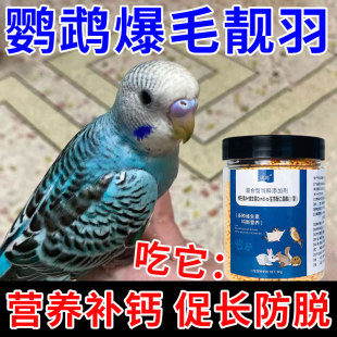 鸚鵡掉毛怎么辦鳥用多維電解質防掉毛生病常備藥玄風虎皮營養補充