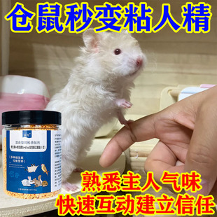 秒变粘人精】仓鼠亲人互动多维快速培养感情仓鼠金丝熊零食宠用品