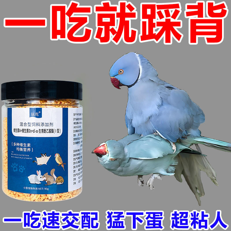 鹦鹉催蛋专用电解多维下蛋多促排卵提高受孕率增肥发情专用饲料