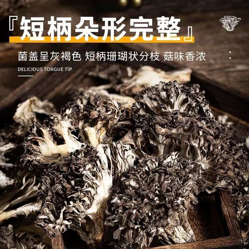 云南特产种植干巴菌灰树花干无泥沙非特级舞茸菌栗香菇可