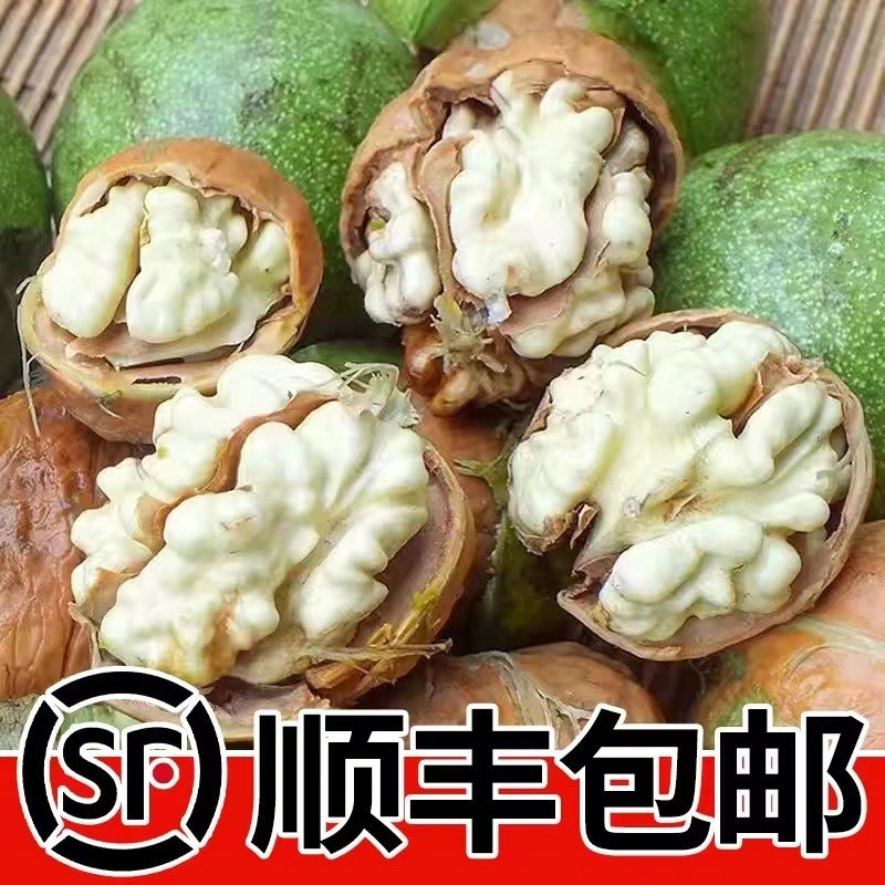 山西太行山鲜核桃新鲜核桃3斤5斤装薄皮核桃核桃新鲜