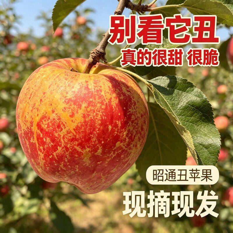 4.5斤云南昭通2026年现摘苹果新鲜现摘脆甜多汁产地直发应季水果