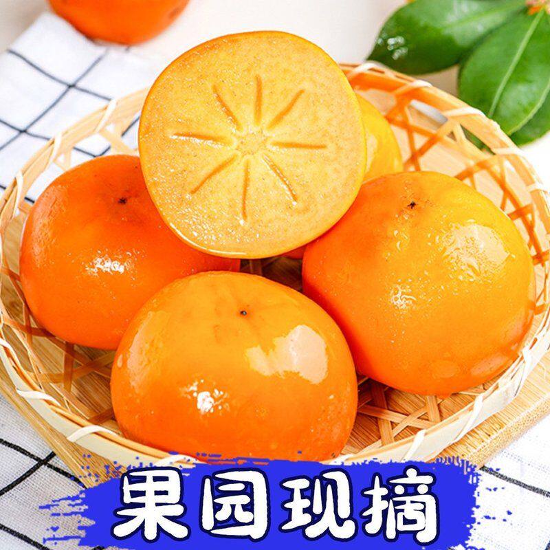 削皮即食阳丰巧克力脆柿4.5斤新鲜采摘现摘现发甜柿子甜脆柿子s