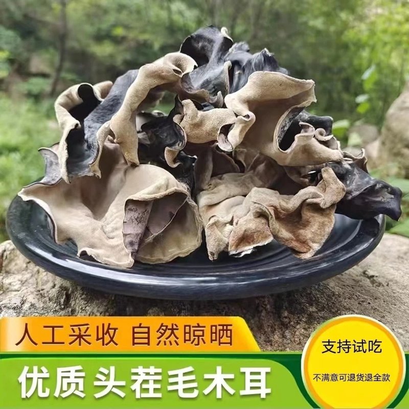 头茬毛木耳大木耳农家脆木耳干货凉拌火锅螺蛳粉食材支持试吃