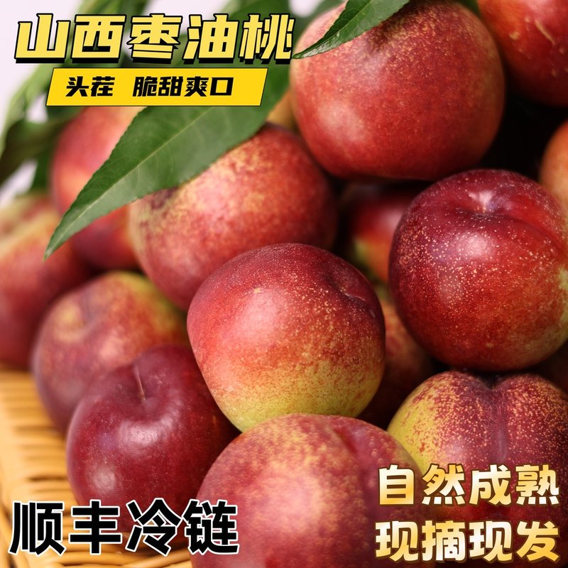 纯甜脆爽嘎嘣脆山西珍珠枣油桃新鲜水果现摘现发正宗产地直发