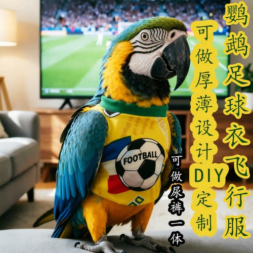 紫梦鹦鹉斗篷披风小鸟专用衣服饰
