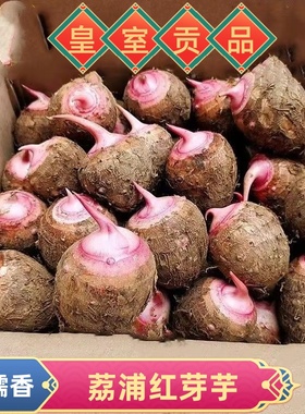 荔浦红芽芋小芋仔毛芋头小香芋牛奶芋仔农家蔬菜早餐粗粮粉糯香甜