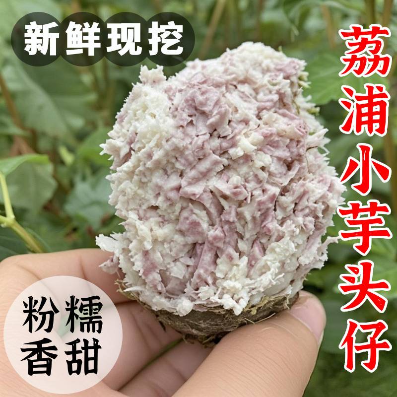 荔浦小芋头仔粉糯鲜香现挖现发
