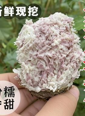 正宗荔浦香芋仔粉糯香甜牛奶芋艿红芽芋槟榔芋毛芋头白芽芋农家种