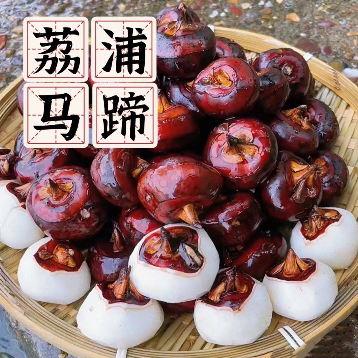荔浦小马蹄广西桂林特产包邮地栗荸荠新鲜现挖农家蔬菜水果