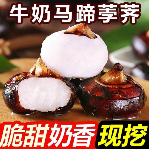 正宗新鲜马蹄荸荠5斤地梨孕妇水果农家地栗脆甜湖北现挖即食小果 - 封面