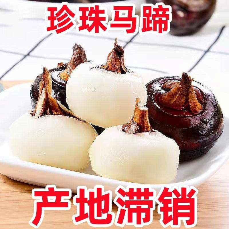 珍珠马蹄现挖现发马蹄荸荠新鲜地栗地梨农家特产自种当季包邮