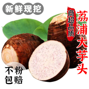 广西正宗荔浦大芋头香芋新鲜槟榔芋旗舰店小芋艿头香玉5斤包邮10