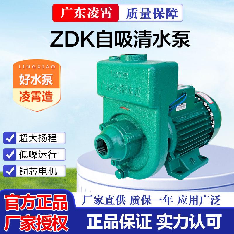 1DK-20 2ZDK-16 广东凌霄自吸泵增压泵灌溉泵井水泵汽车喷洗泵