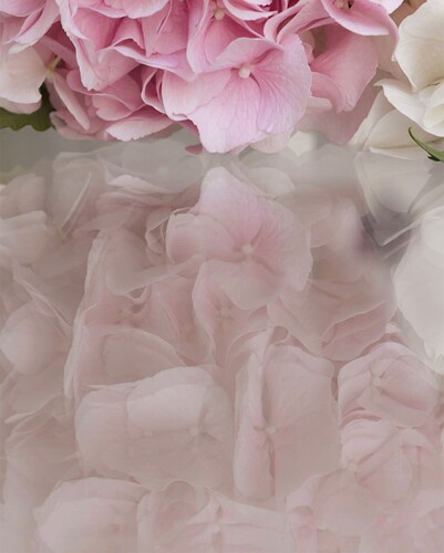 *邮费差价补拍*