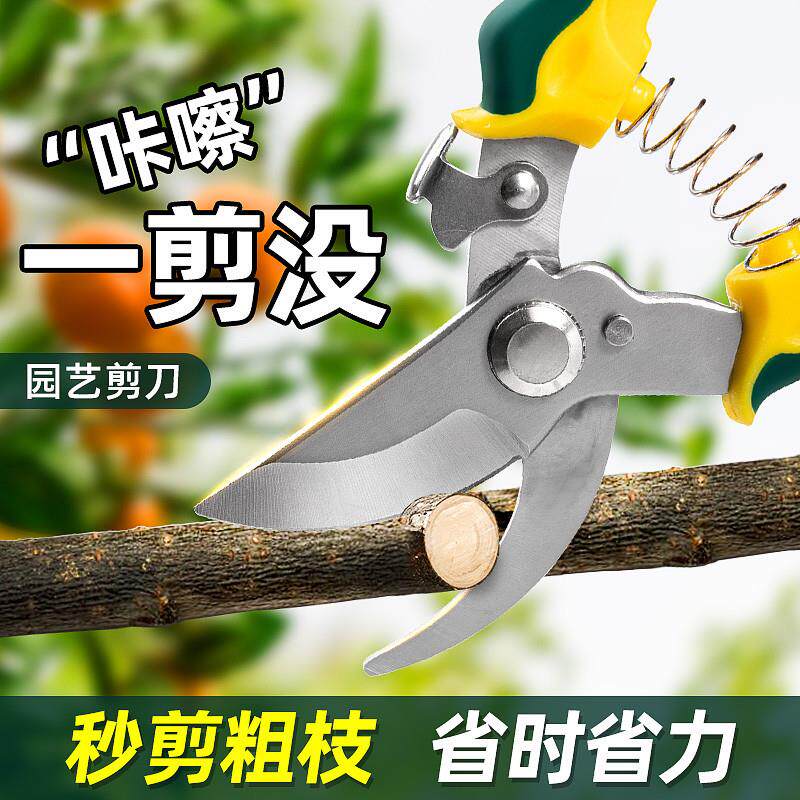 园艺剪刀修枝剪树枝园林花艺专用强力修剪果树剪枝修花摘果子神器图片