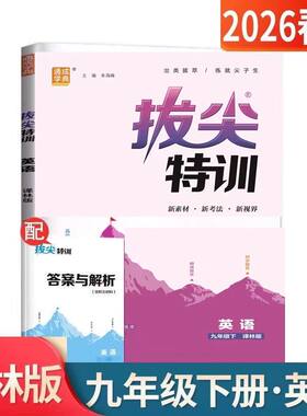 拔尖特训九年级下册英语译林版