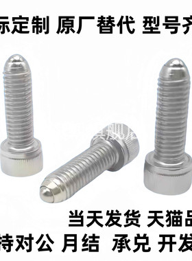 BPRH10/12/16-15/20/25/30/35/40/45/50重型内六角螺栓型球头柱塞