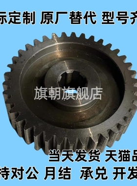 VNL01/02/21/22/31/32-2.0-12~100-B20-A/B-P8~49N标准直齿轮