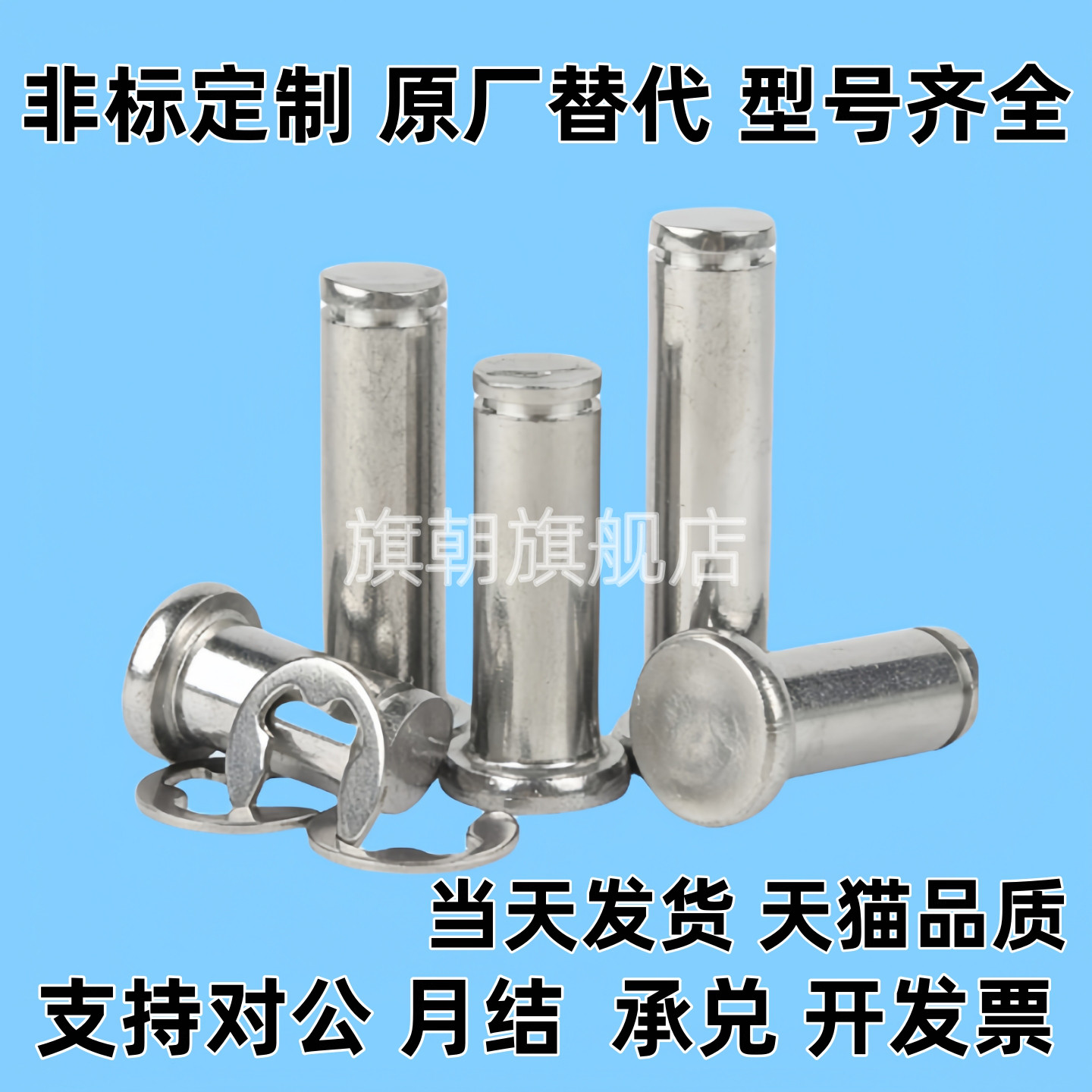 铰链销SHCCG SHCDG SHCCGH3 4 5 6 8 10-10 15 20 25 30CCG CCGH