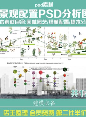 植物配置PSD景观园林园艺分层绿植树木PS分析图种植搭配素材