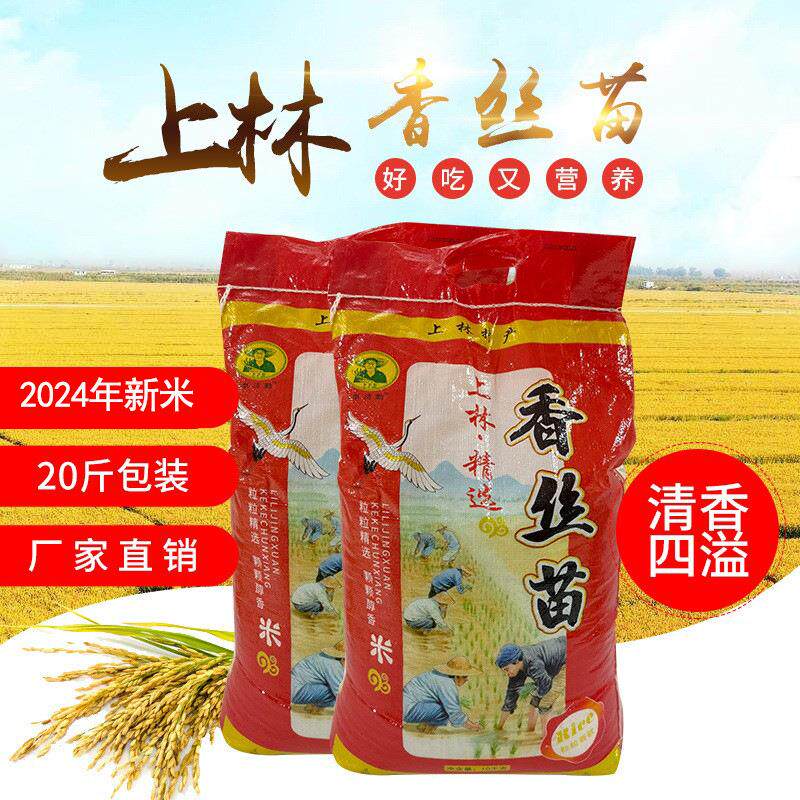 广西大米长粒香丝苗不抛光