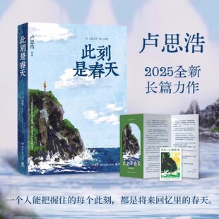 每个人 路吧献给在困顿日常中努力找寻生活意义 此刻是春天 卢思浩2025重磅新书小说沉淀四年后又一长篇力作你也走了很远
