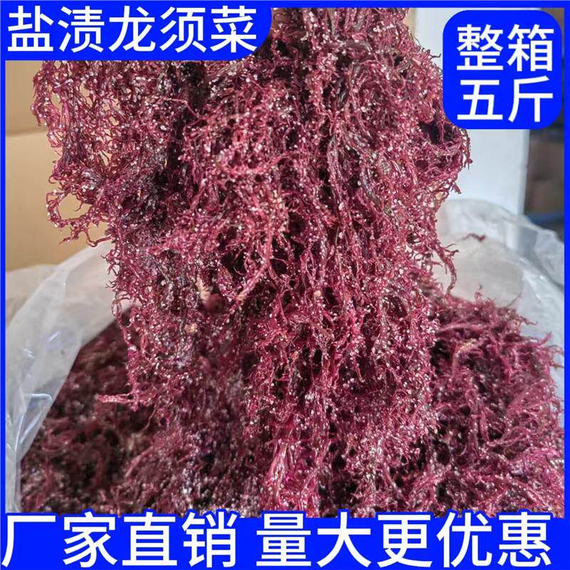 盐渍红藻龙须菜新鲜海菜火锅凉拌菜石花菜食材海草发菜商用家用