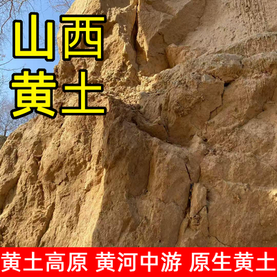 黄土高原黄泥土绿植天然田园优质