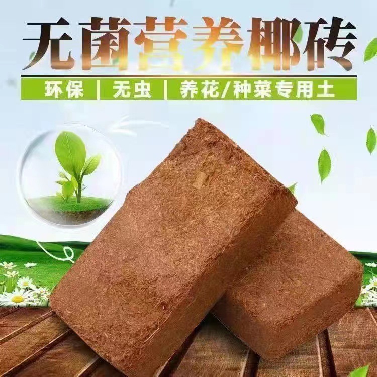 脱盐椰砖椰子壳粗椰糠营养土椰土