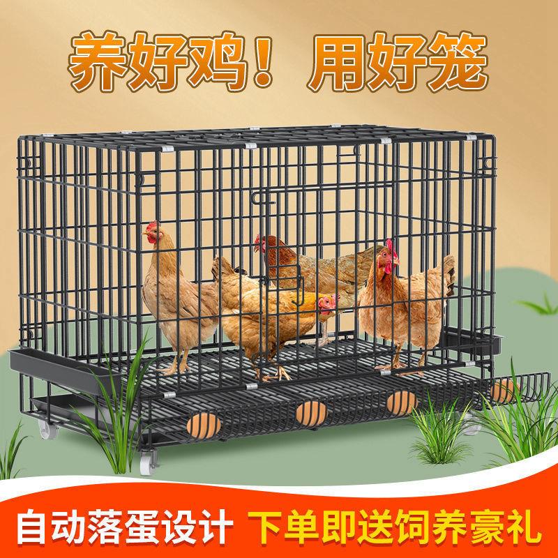 养殖专用兔子笼鸡笼子家用大号加粗特大鸡笼鸭折叠自动滚蛋鸡笼