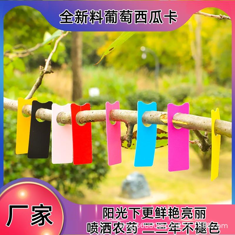 植物标签葡萄记号牌葡萄标记卡瓜果标记牌西瓜标记牌月季环扣标签图片