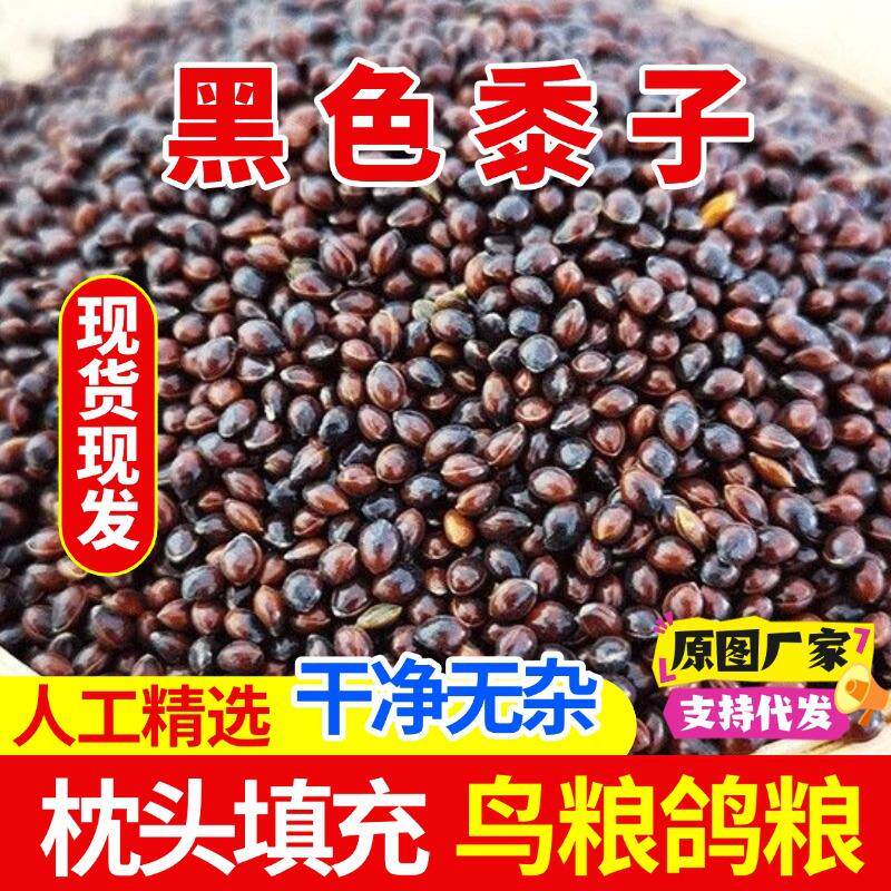 黑黍子农家糜鸟食鹦鹉饲料