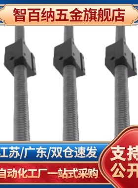 压轧滚珠丝杠LCF49-20-10-L400-F20-P8-L600-L800-L1000-L200定制