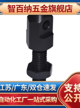 VSS01/02/11/21--40/50/60/80 STRT40 链条连接杆(单件) 螺栓LSRC