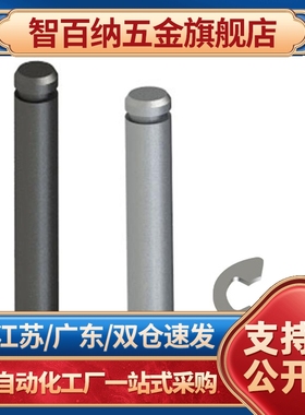 带肩铰链销挡圈型MIC01/02/06/11/12/13/14/15/21/31/32专业