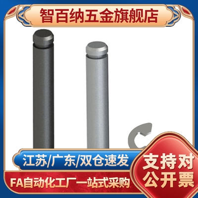 带肩铰链销挡圈型MIC01/02/06/11/12/13/14/15/21/31/32专业