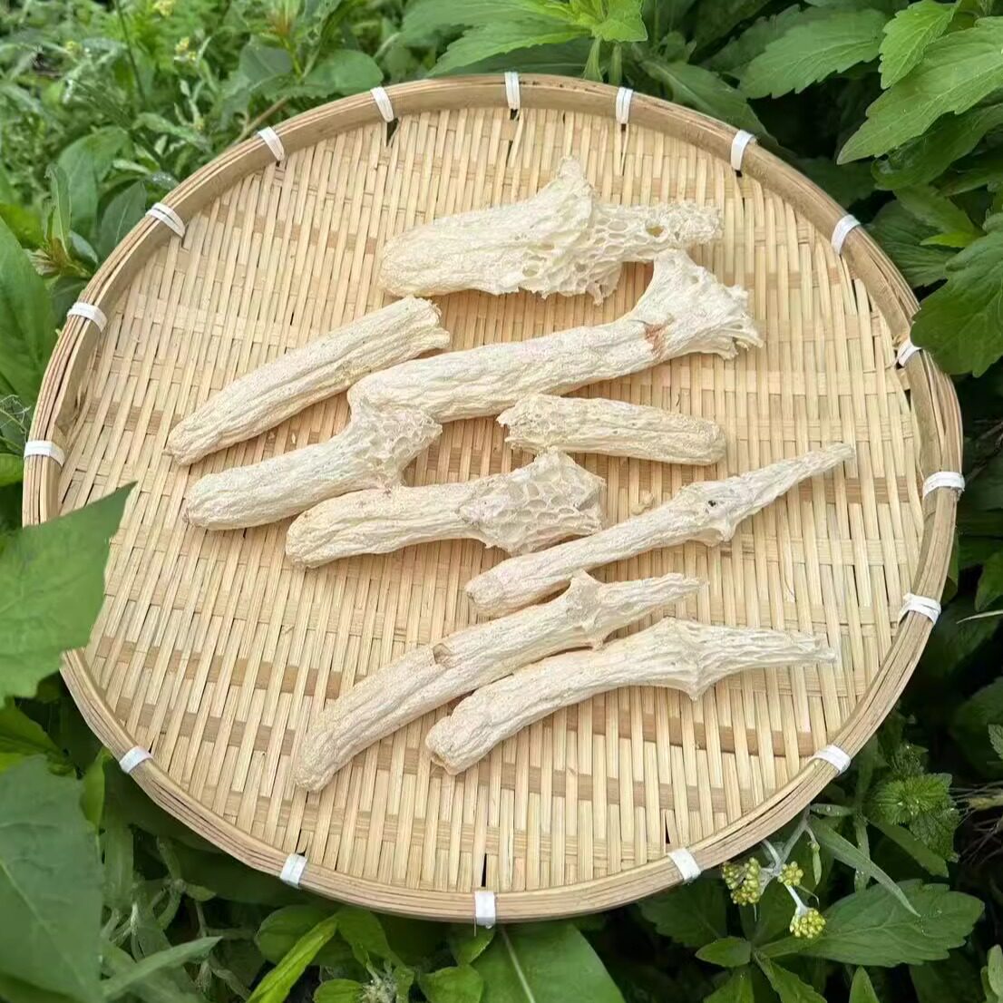 长裙竹荪全杆肉厚竹荪宜宾长宁特产无硫无添加长裙竹荪100g